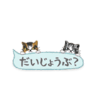 ねこつぶ ～省スペース～（個別スタンプ：9）