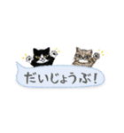 ねこつぶ ～省スペース～（個別スタンプ：11）