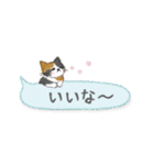 ねこつぶ ～省スペース～（個別スタンプ：16）