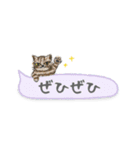 ねこつぶ ～省スペース～（個別スタンプ：19）