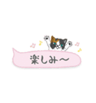 ねこつぶ ～省スペース～（個別スタンプ：24）