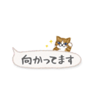 ねこつぶ ～省スペース～（個別スタンプ：35）