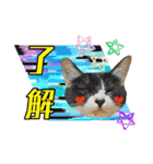 KumaKikiDâ20220217（個別スタンプ：3）