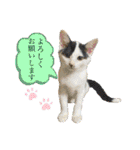 KumaKikiDâ20220217（個別スタンプ：8）