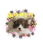 KumaKikiDâ20220217（個別スタンプ：11）