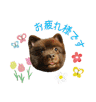 KumaKikiDâ20220217（個別スタンプ：13）