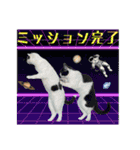 KumaKikiDâ20220217（個別スタンプ：15）