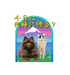 KumaKikiDâ20220217（個別スタンプ：17）