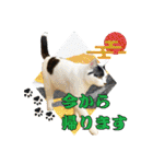 KumaKikiDâ20220217（個別スタンプ：18）
