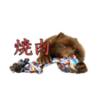 KumaKikiDâ20220217（個別スタンプ：23）