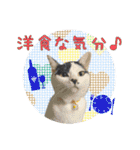 KumaKikiDâ20220217（個別スタンプ：24）