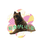 KumaKikiDâ20220217（個別スタンプ：25）