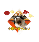 KumaKikiDâ20220217（個別スタンプ：26）
