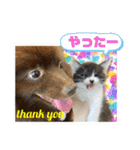 KumaKikiDâ20220217（個別スタンプ：27）
