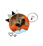 KumaKikiDâ20220217（個別スタンプ：34）