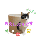 KumaKikiDâ20220217（個別スタンプ：37）