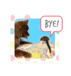 KumaKikiDâ20220217（個別スタンプ：39）
