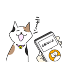 ねこ翻訳アプリ風スタンプ(猫の日)（個別スタンプ：1）