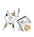 ねこ翻訳アプリ風スタンプ(猫の日)（個別スタンプ：3）