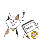 ねこ翻訳アプリ風スタンプ(猫の日)（個別スタンプ：5）