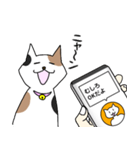 ねこ翻訳アプリ風スタンプ(猫の日)（個別スタンプ：10）