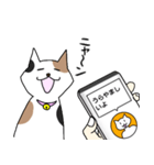 ねこ翻訳アプリ風スタンプ(猫の日)（個別スタンプ：13）