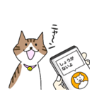 ねこ翻訳アプリ風スタンプ(猫の日)（個別スタンプ：22）