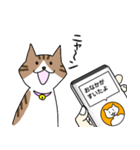 ねこ翻訳アプリ風スタンプ(猫の日)（個別スタンプ：27）