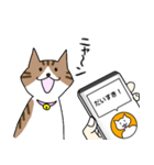 ねこ翻訳アプリ風スタンプ(猫の日)（個別スタンプ：33）