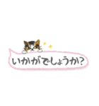 ねこつぶ ～敬語～（個別スタンプ：19）