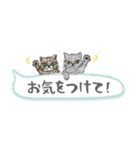 ねこつぶ ～敬語～（個別スタンプ：27）