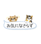 ねこつぶ ～敬語～（個別スタンプ：37）