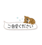 ねこつぶ ～敬語～（個別スタンプ：40）