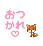 柴犬そらこ【感嘆詞】でか文字（個別スタンプ：1）