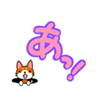 柴犬そらこ【感嘆詞】でか文字（個別スタンプ：9）