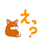 柴犬そらこ【感嘆詞】でか文字（個別スタンプ：11）