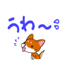 柴犬そらこ【感嘆詞】でか文字（個別スタンプ：12）