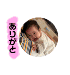 そっけらんスタンプ01（個別スタンプ：9）