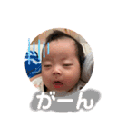 そっけらんスタンプ01（個別スタンプ：17）