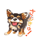 毎日いぬ全開（増補版）（個別スタンプ：6）