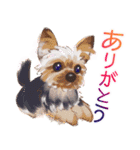 毎日いぬ全開（増補版）（個別スタンプ：7）