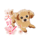 毎日いぬ全開（増補版）（個別スタンプ：9）