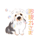 毎日いぬ全開（増補版）（個別スタンプ：12）