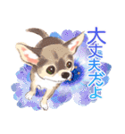 毎日いぬ全開（増補版）（個別スタンプ：13）