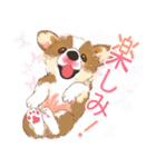 毎日いぬ全開（増補版）（個別スタンプ：17）