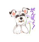 毎日いぬ全開（増補版）（個別スタンプ：20）