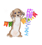 毎日いぬ全開（増補版）（個別スタンプ：23）