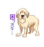 毎日いぬ全開（増補版）（個別スタンプ：26）