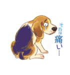 毎日いぬ全開（増補版）（個別スタンプ：27）