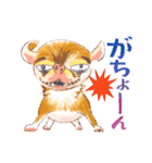 毎日いぬ全開（増補版）（個別スタンプ：31）